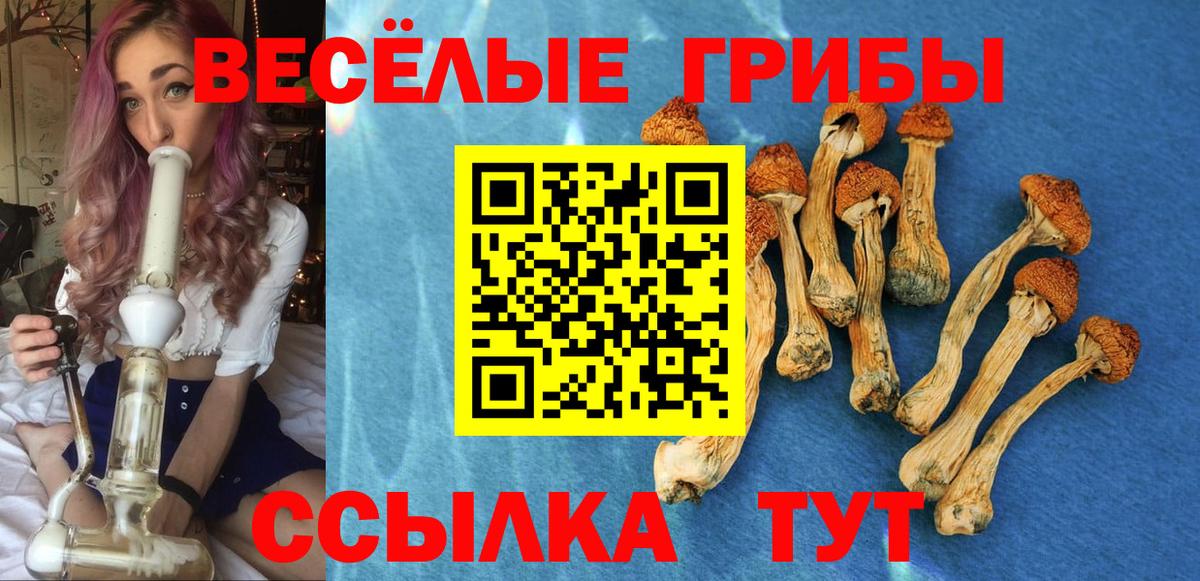 Псилоцибиновые грибы MAGIC MUSHROOMS  Галлюциногенные грибы MAGIC MUSHROOMS  Вход с VPN  Вичуга 