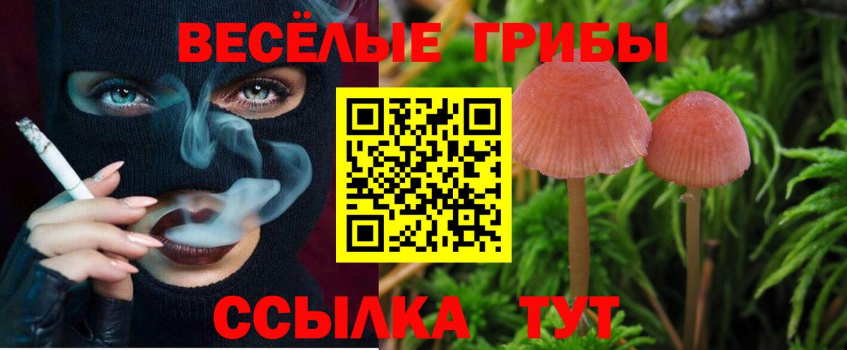 Меф кристаллы  Каннабис  COCAIN  Экстази  Вичуга  Гашиш  Вход с VPN 